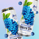 Arizona Blueberry White Tea 650ml