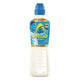 Lucozade Sport Ice Kick 500 ml