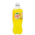 Canada Dry Pineapple 591ml